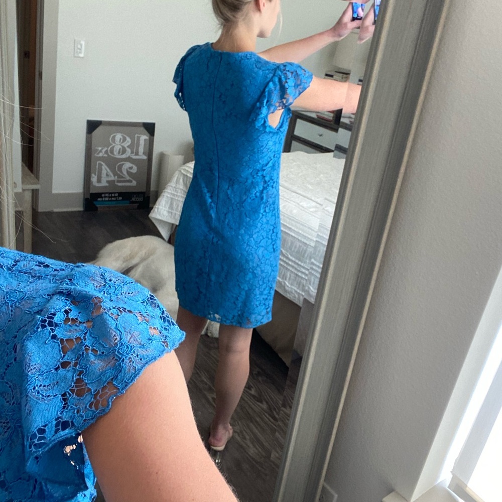 Charles Henry Lace Sheath Blue Dress - Picture 3 of 4